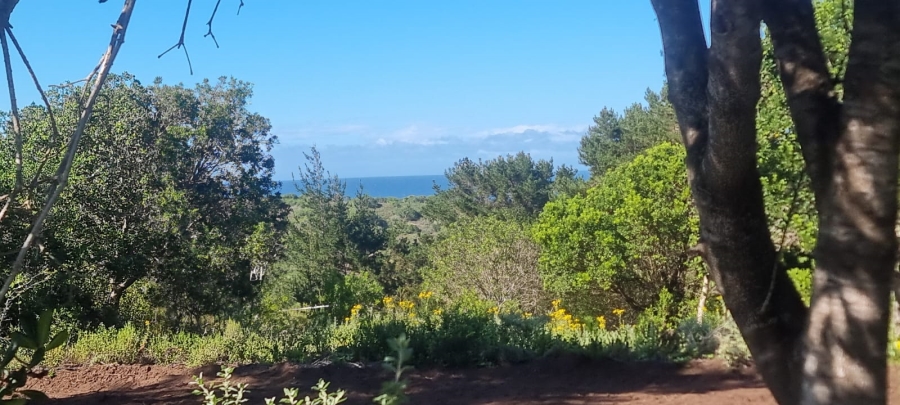 Commercial Property for Sale in Langvlei Dunes Western Cape